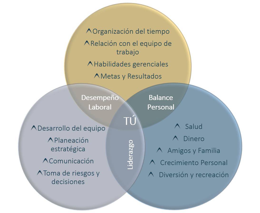 temas acompanamiento directivo