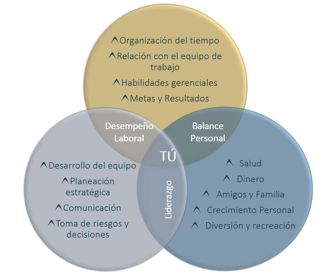 temas-acompanamiento-directivo